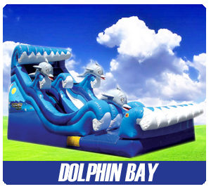 WATERSLIDES-DOLPHINBAY